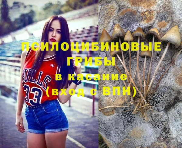 дживик Алзамай