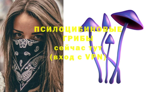 дживик Алзамай